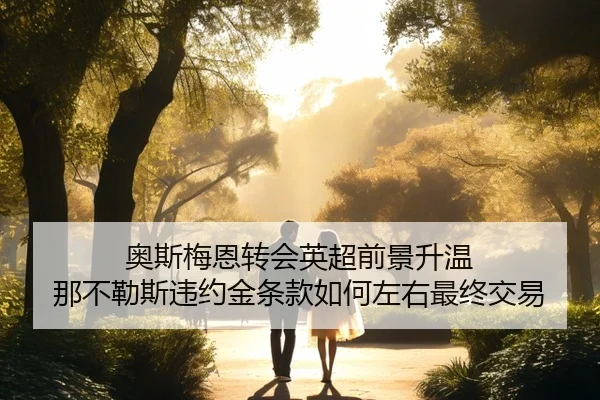 奥斯梅恩转会英超前景升温 那不勒斯违约金条款如何左右最终交易